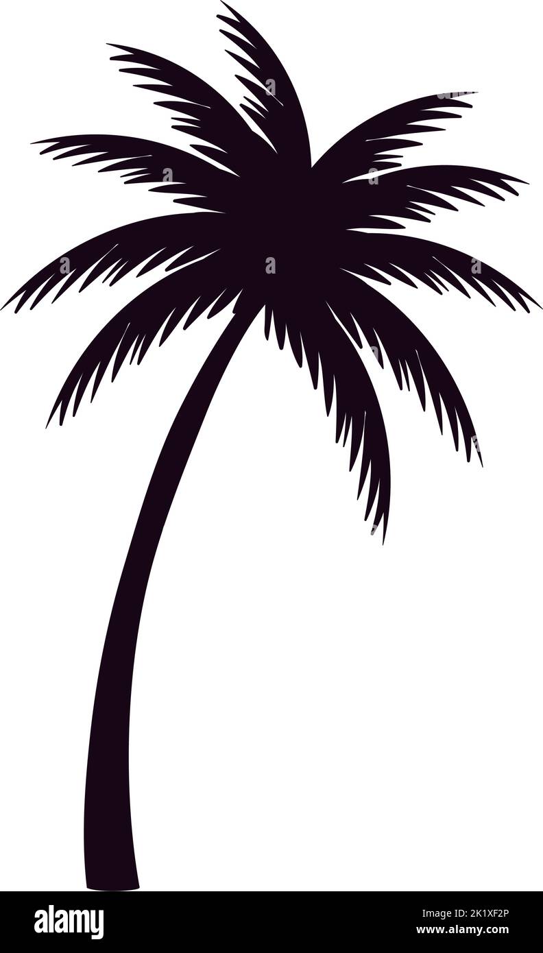 tropical tree palm Stock Vector Image & Art - Alamy