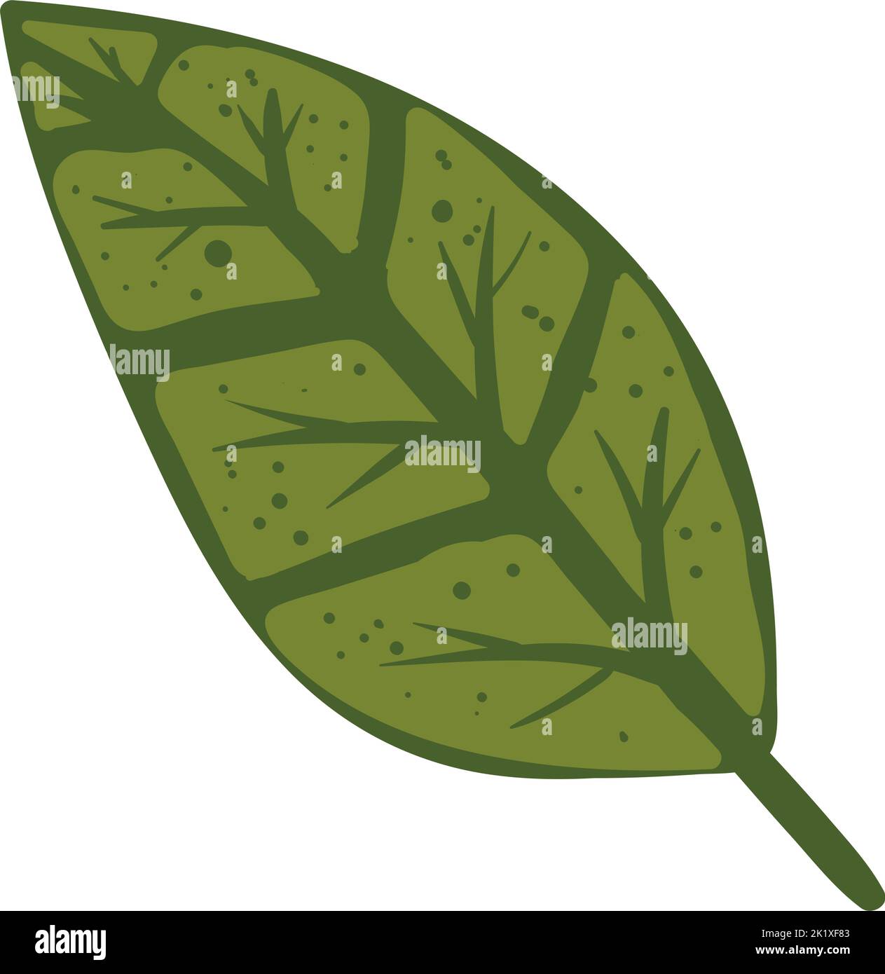 leaf plant foliage Stock Vector Image & Art - Alamy