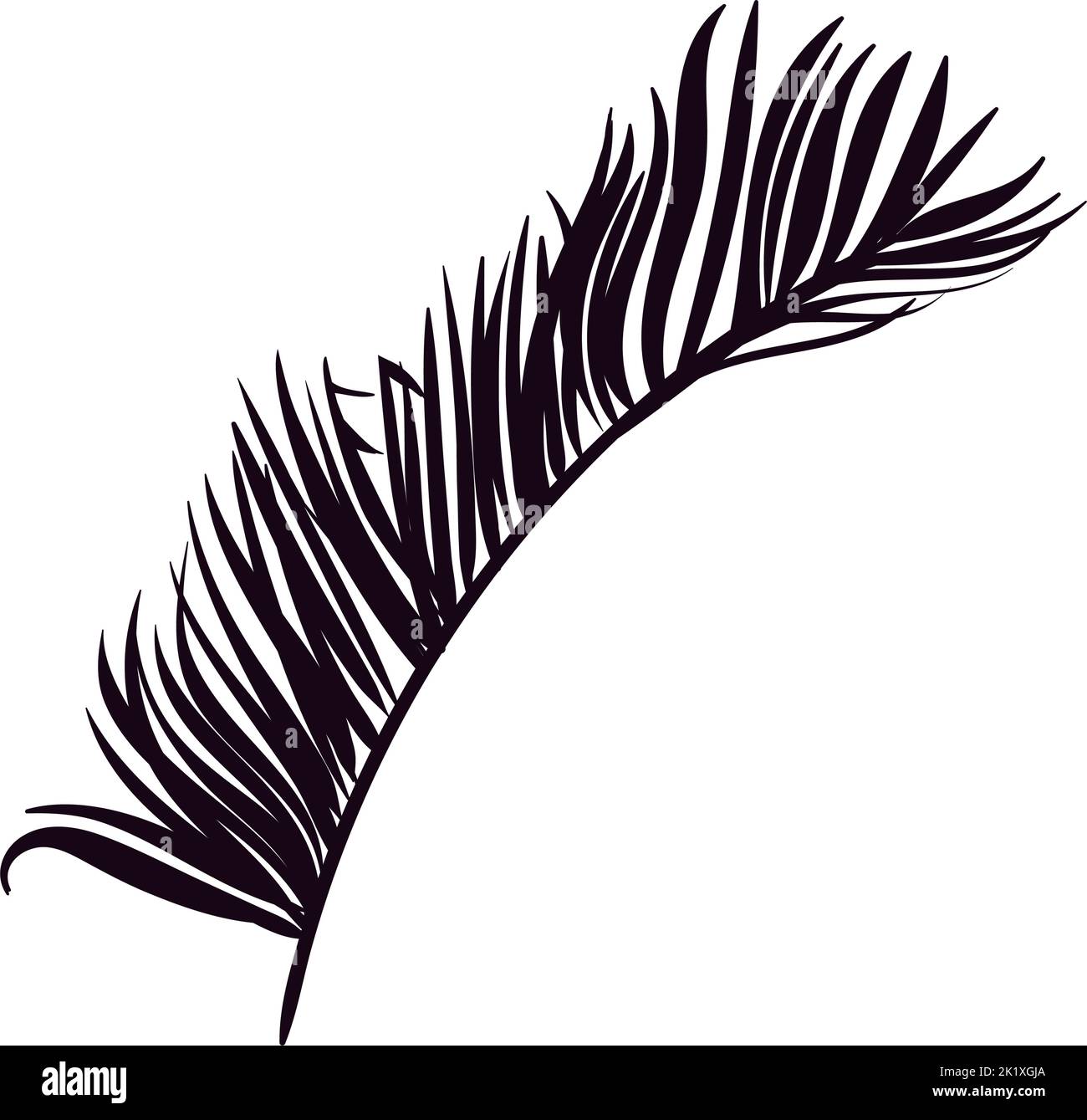 palm tropical leaf Stock Vector Image & Art - Alamy