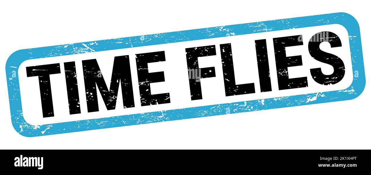 TIME FLIES text written on blueblack rectangle stamp sign Stock Photo