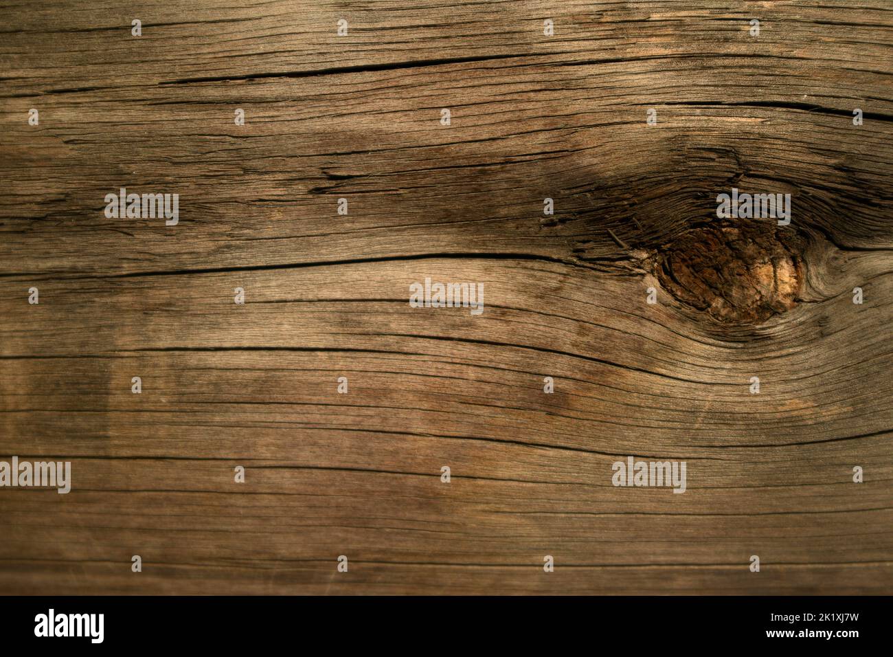 Close-up of weathered wood showing a knot from the tree it came from, ideal natural-looking background for illustrating natural themes Stock Photo