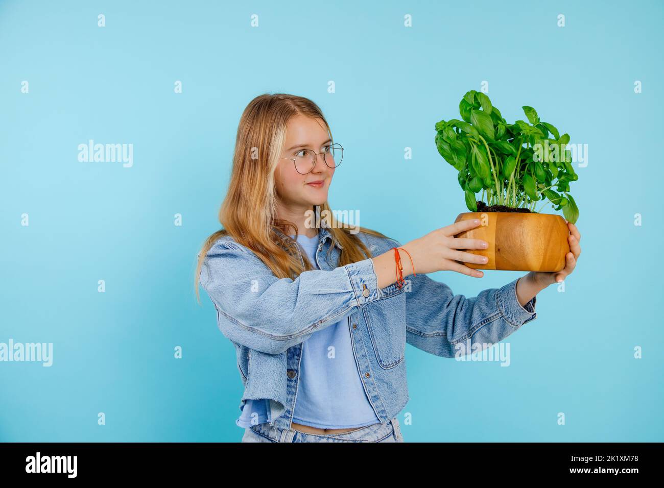 Smiling cute fashionable blonde teenager girl in jeans denim holding potted basil plant on blue background. Copy space Stock Photo