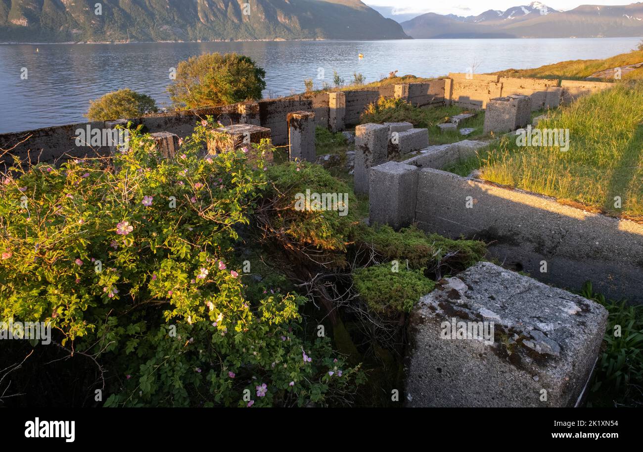 Hareid, Norway - June 25, 2022: Kvitneset costal Fort was built by the Germans during Second World War with firing positions, prison camps, command bu Stock Photo