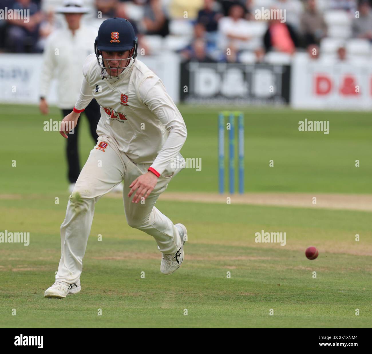 CHELMSFORD ENGLAND - SEPTEMBER 20 : Essex's Dan Lawrence in action during LV= COUNTY CHAMPIONSHIP - DIVISION ONE Day One of 4 match between Essex CCC Stock Photo