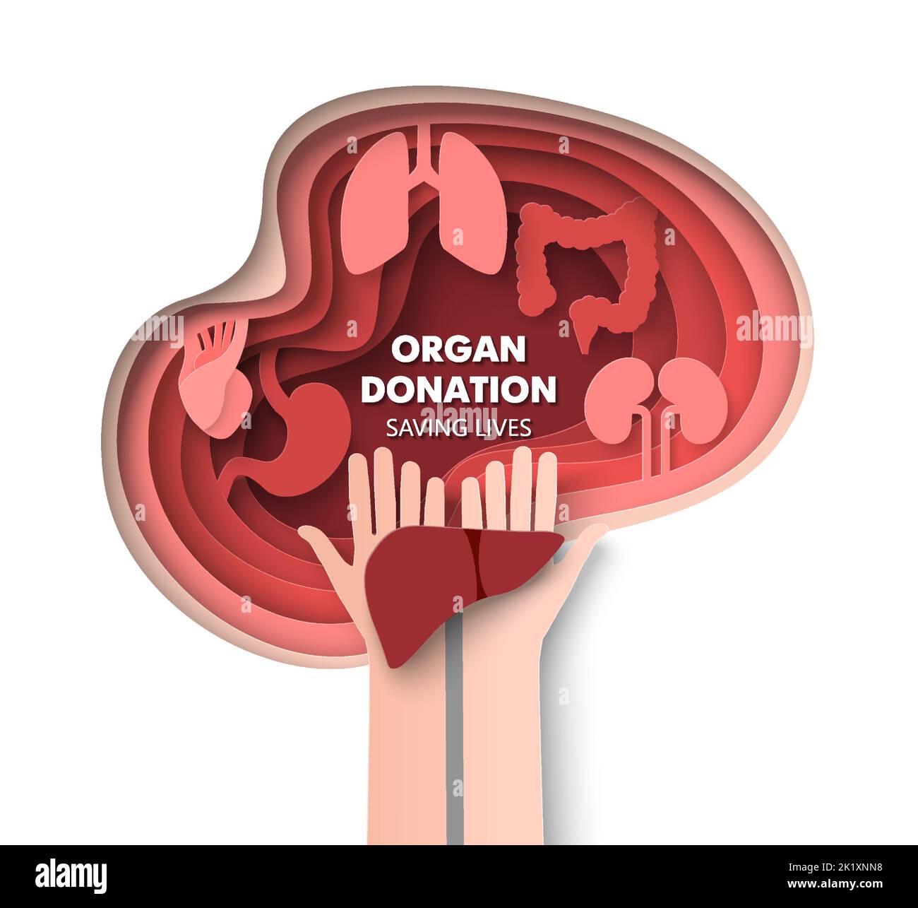 Life saving lung transplant stock vector images alamy