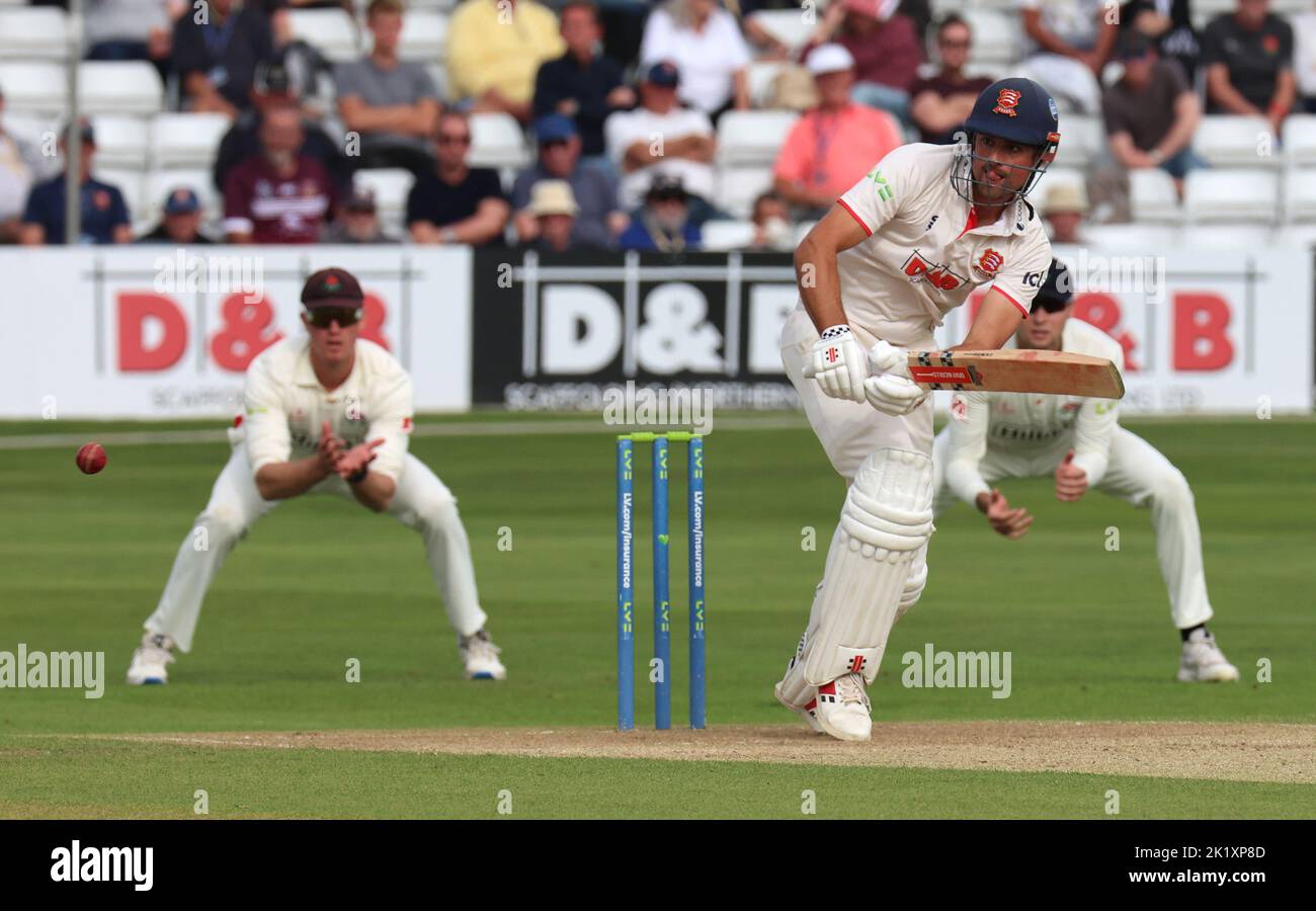 CHELMSFORD ENGLAND - SEPTEMBER 20 : Essex's Sir Alastair Cook in action during LV= COUNTY CHAMPIONSHIP - DIVISION ONE Day One of 4 match between Essex Stock Photo