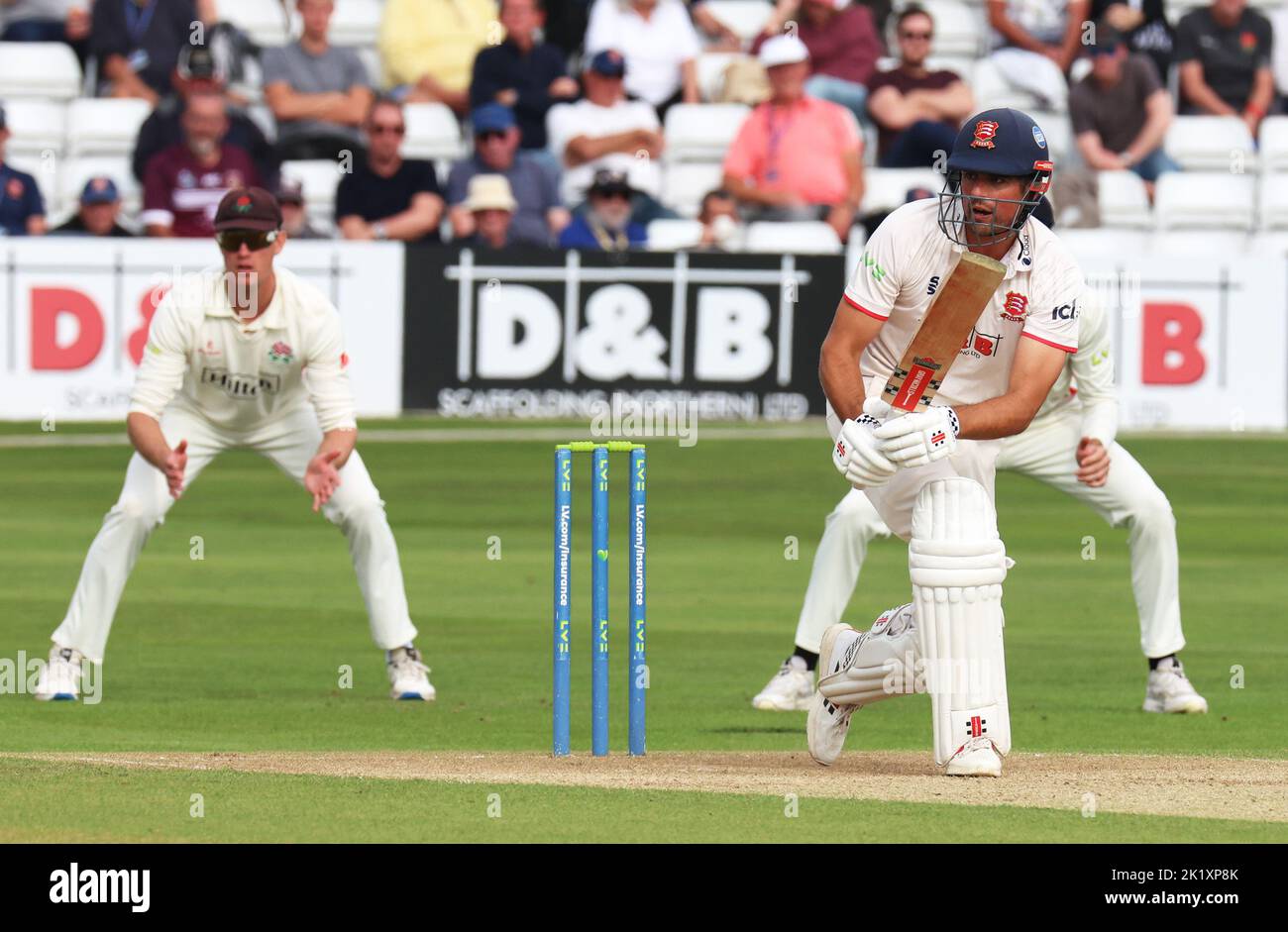 CHELMSFORD ENGLAND - SEPTEMBER 20 : Essex's Sir Alastair Cook in action during LV= COUNTY CHAMPIONSHIP - DIVISION ONE Day One of 4 match between Essex Stock Photo