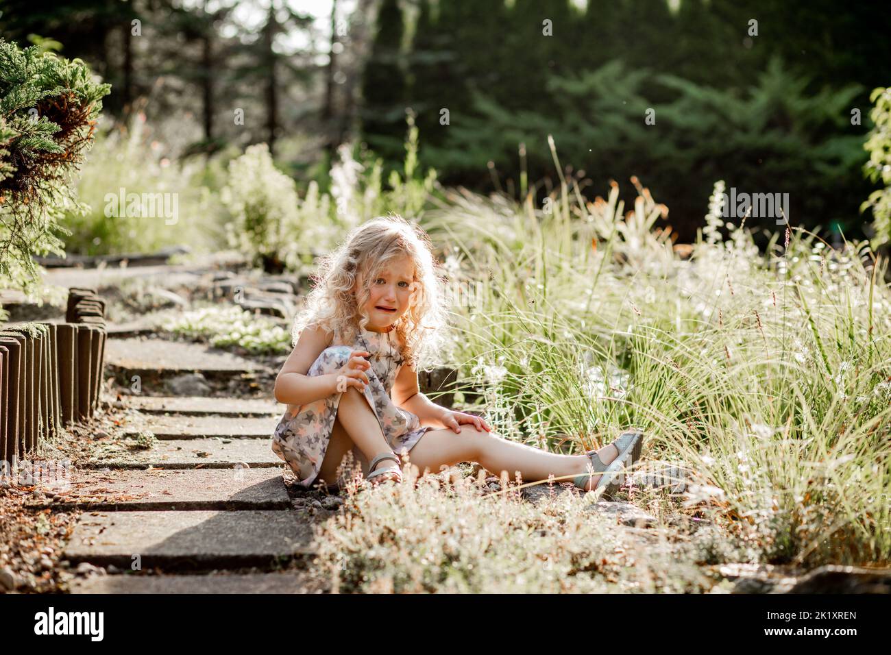 Sad, upset, crying little blonde curly girl in dress sitting on wood road in grass, near meadow or forest. Child abuse Stock Photo