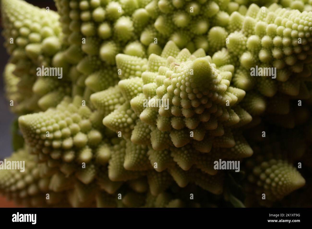 romanesco cauliflower macro texture Stock Photo Alamy