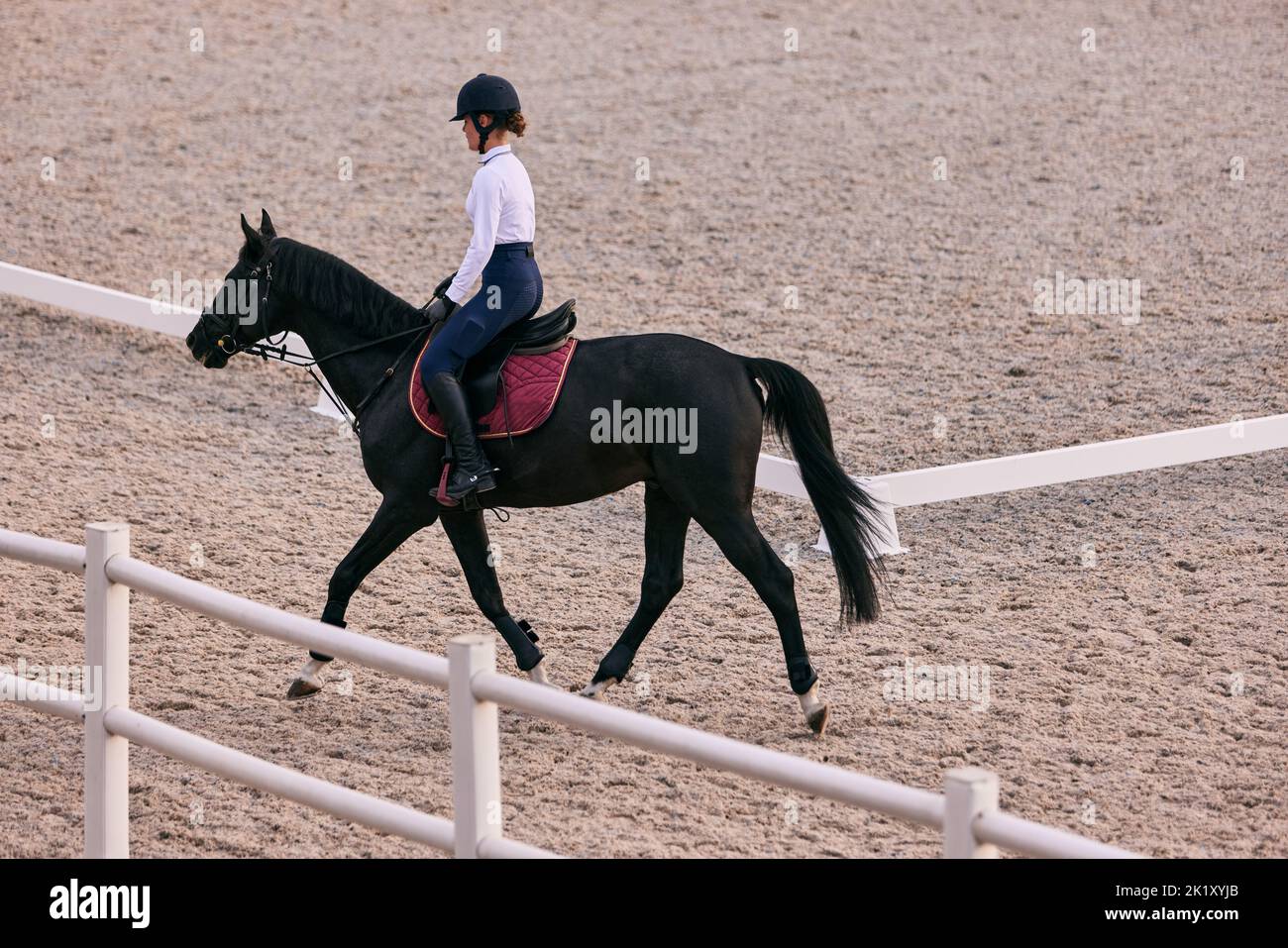 Female rider on horseback riding trot around the sandy arena in countryside, in summer day, outdoors. Dressage of horses. Horseback riding Stock Photo