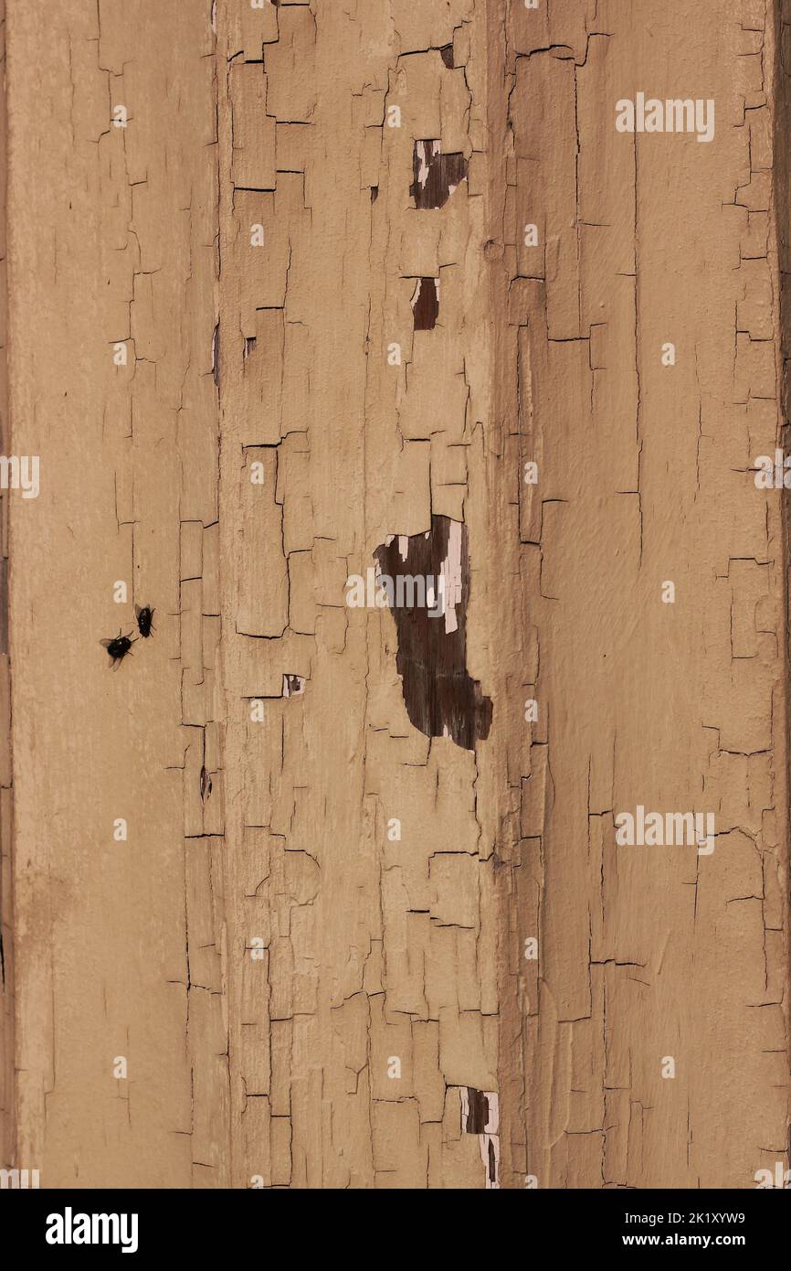 Fluted column paint hires stock photography and images Alamy