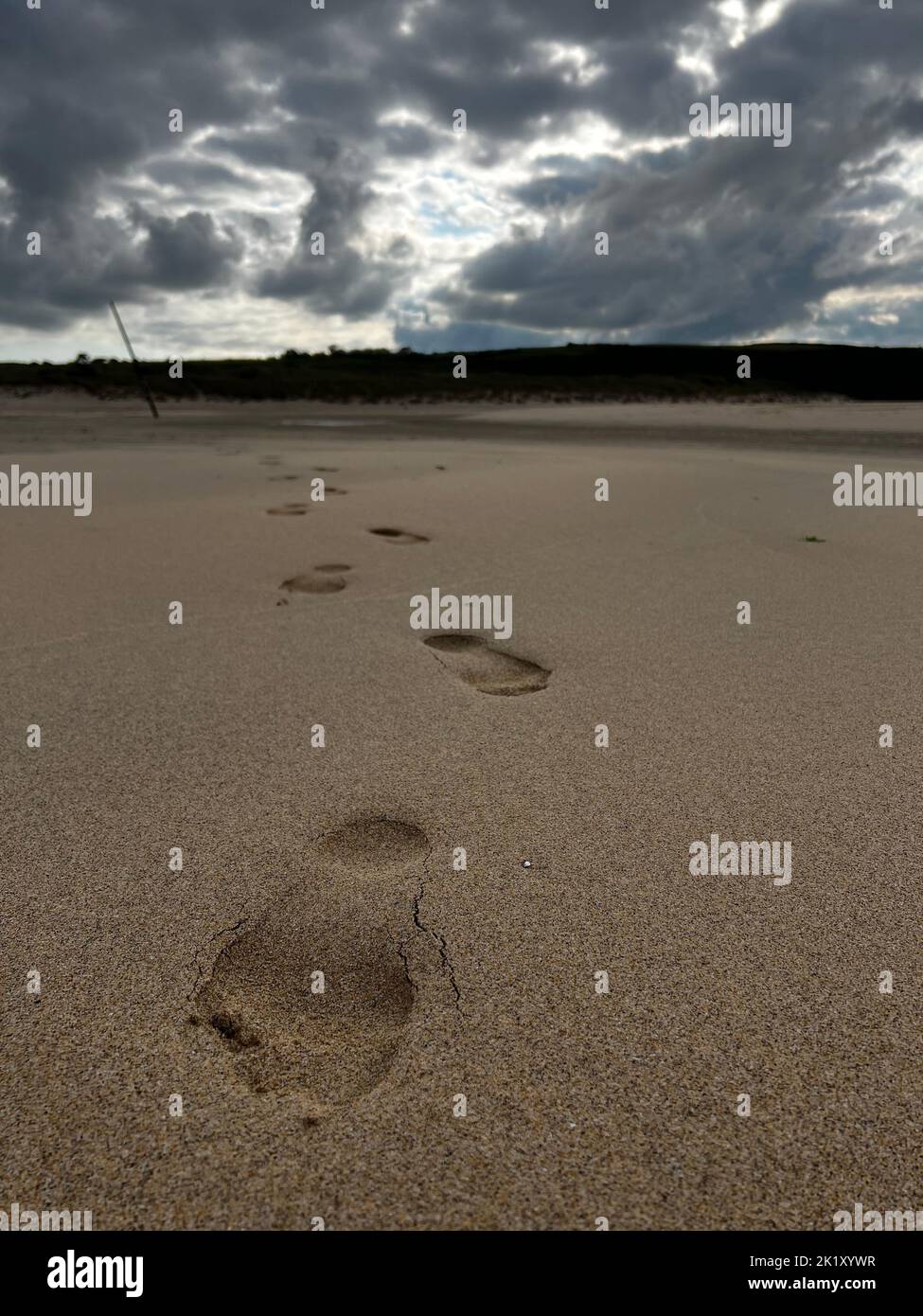 Footprints in the sand on a beach Stock Photo - Alamy