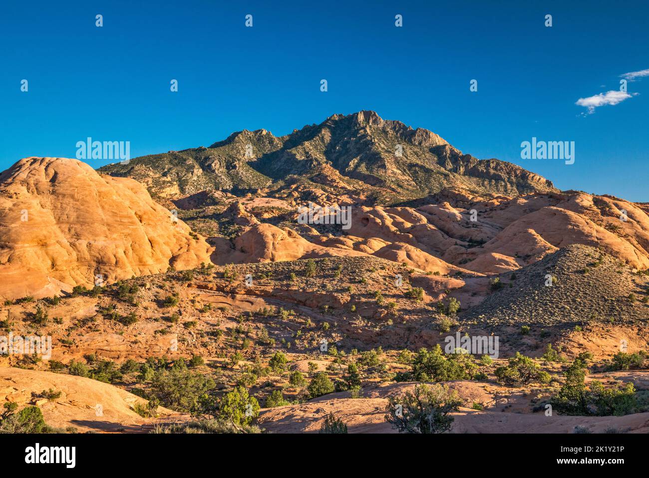 Mount Holmes, Navajo Sandstone slickrocks, view at sunset from Utah 276, Little Rockies, Henry Mountains, near Ticaboo, Utah, USA Stock Photo