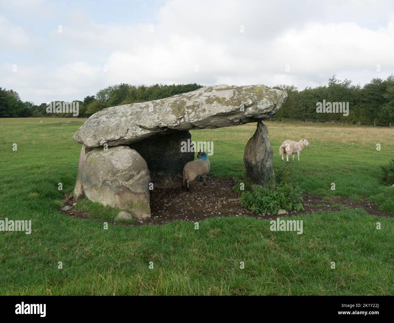 Presaddfed Burial Chamber erected in the Neolithic Period (4000- 2000BC) for communal burials of the dead Bodedern Isle of Anglesey North Wales UK Stock Photo