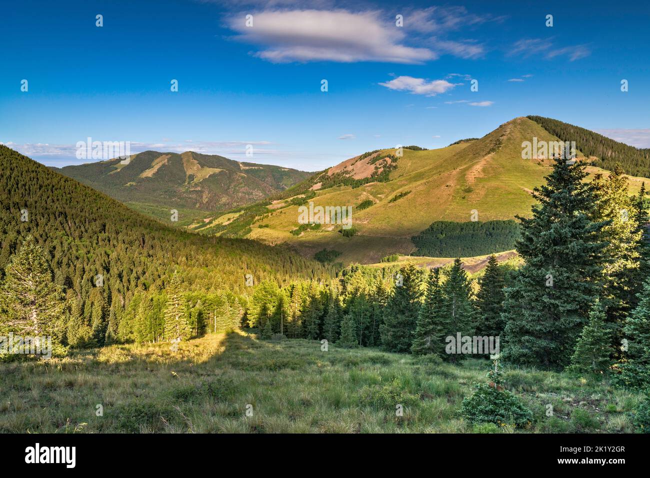 South Peak on left, North Creek canyon, view near Cooley Pass aka North Creek Pass, Johnson Creek Road (Rd 79), Abajo Mtns, near Monticello, Utah, USA Stock Photo