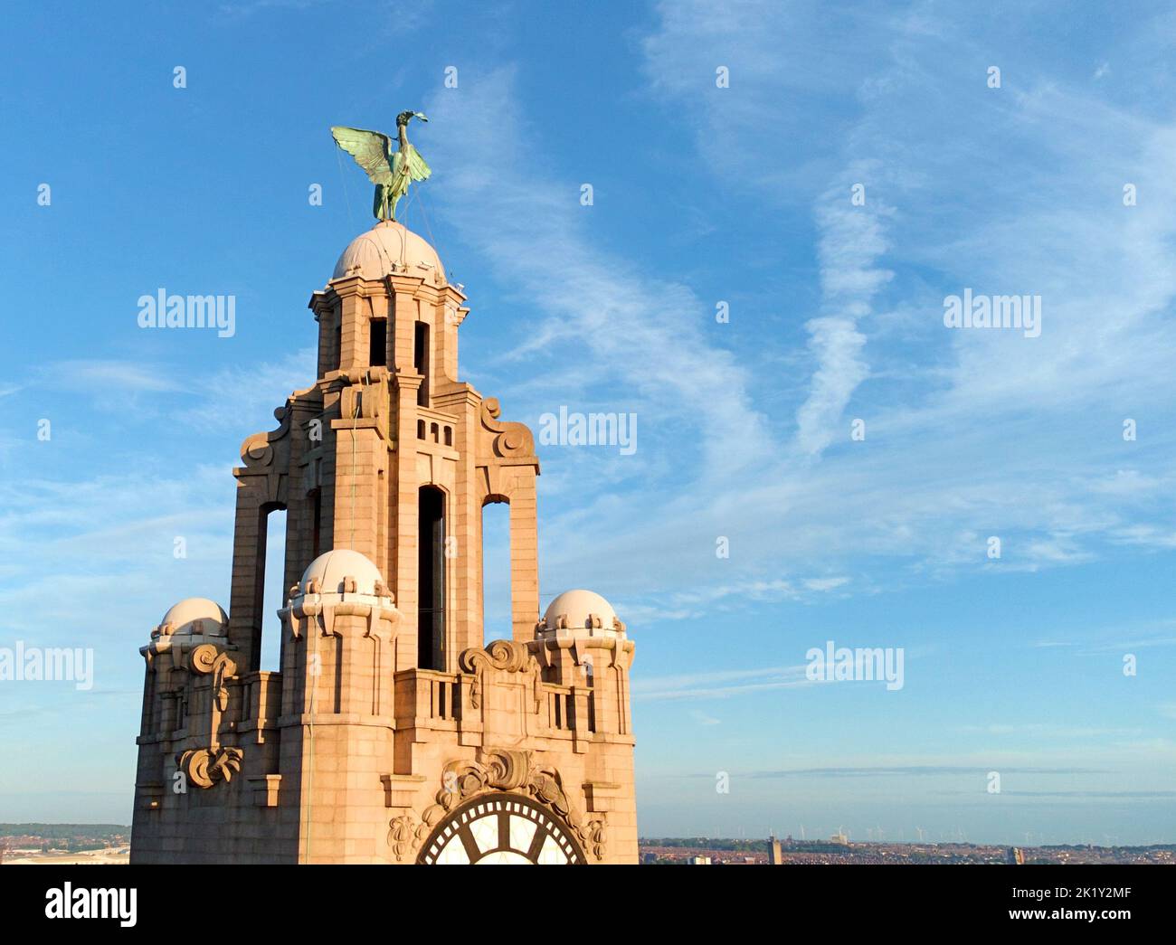Liver bird hi-res stock photography and images - Alamy