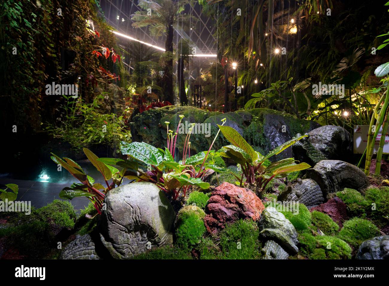 Night view of the waterfall on Cloud Mountain in the Cloud Forest, one of the two vast conservatories in the Gardens by the Bay, Marina Bay Singapore Stock Photo