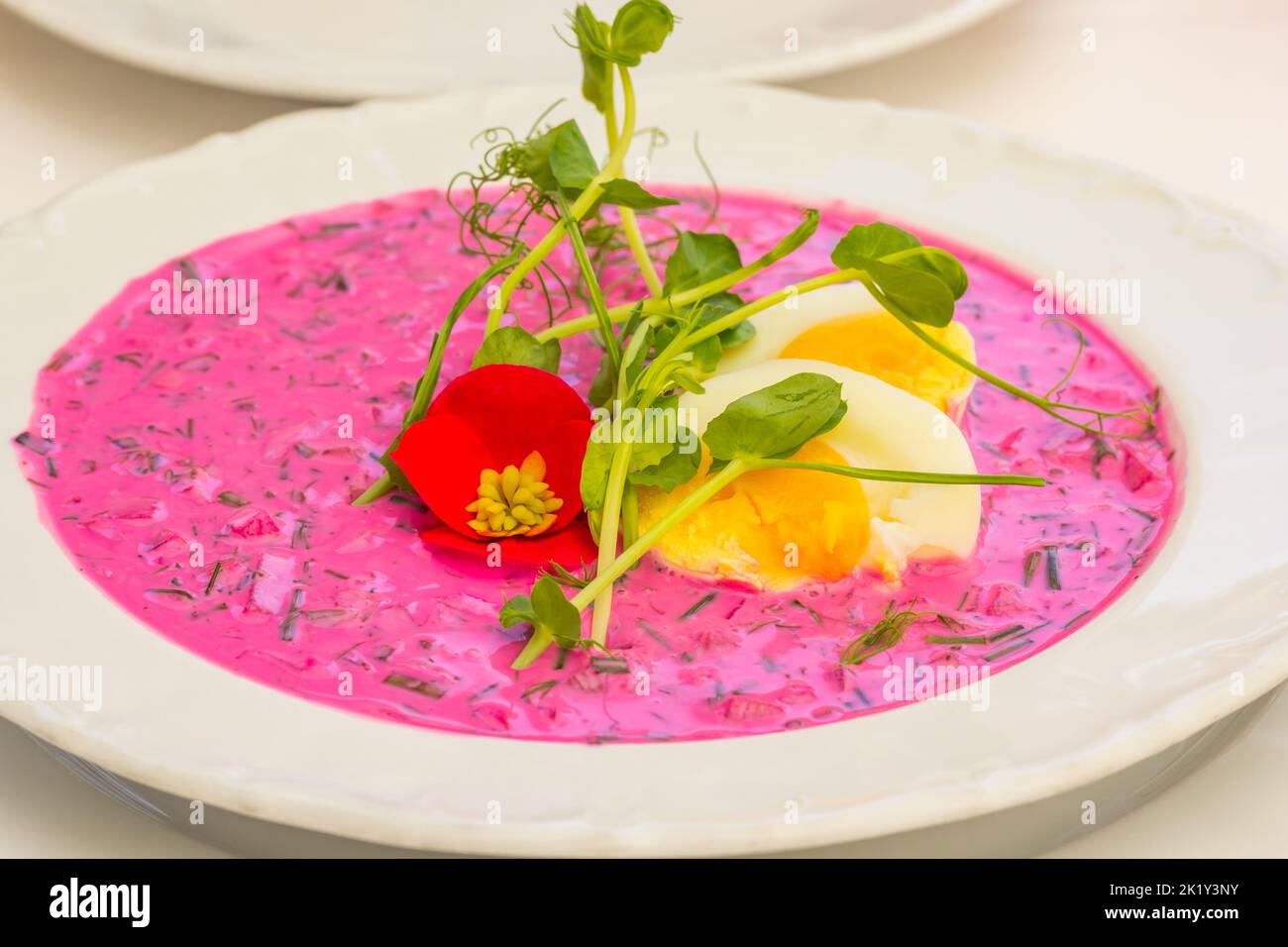 Traditional cold Lithuanian beetroot soup, served with boiled eggs and dill Stock Photo