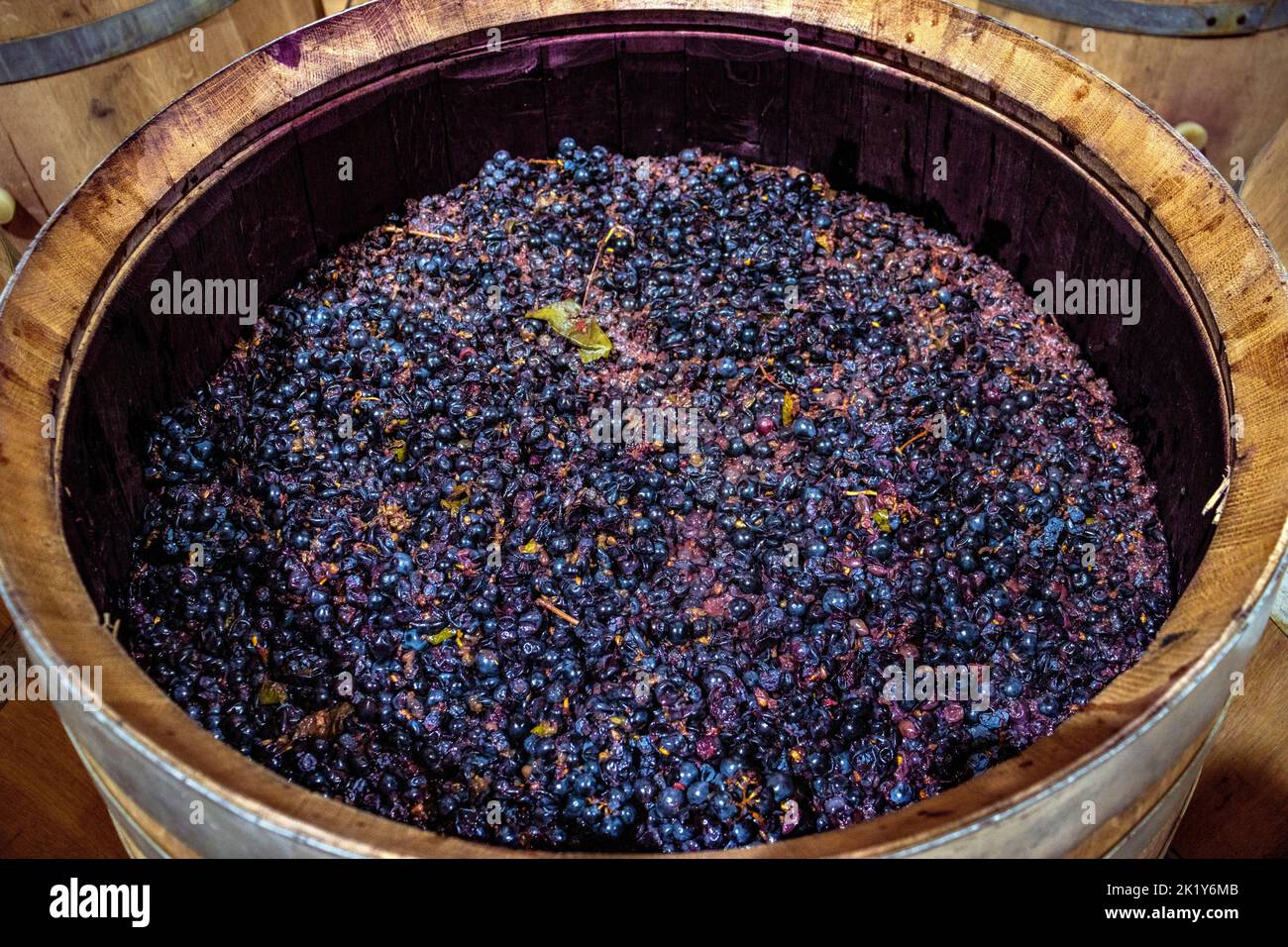 Open wine barrel. Grapes prepared for fermentation Stock Photo - Alamy