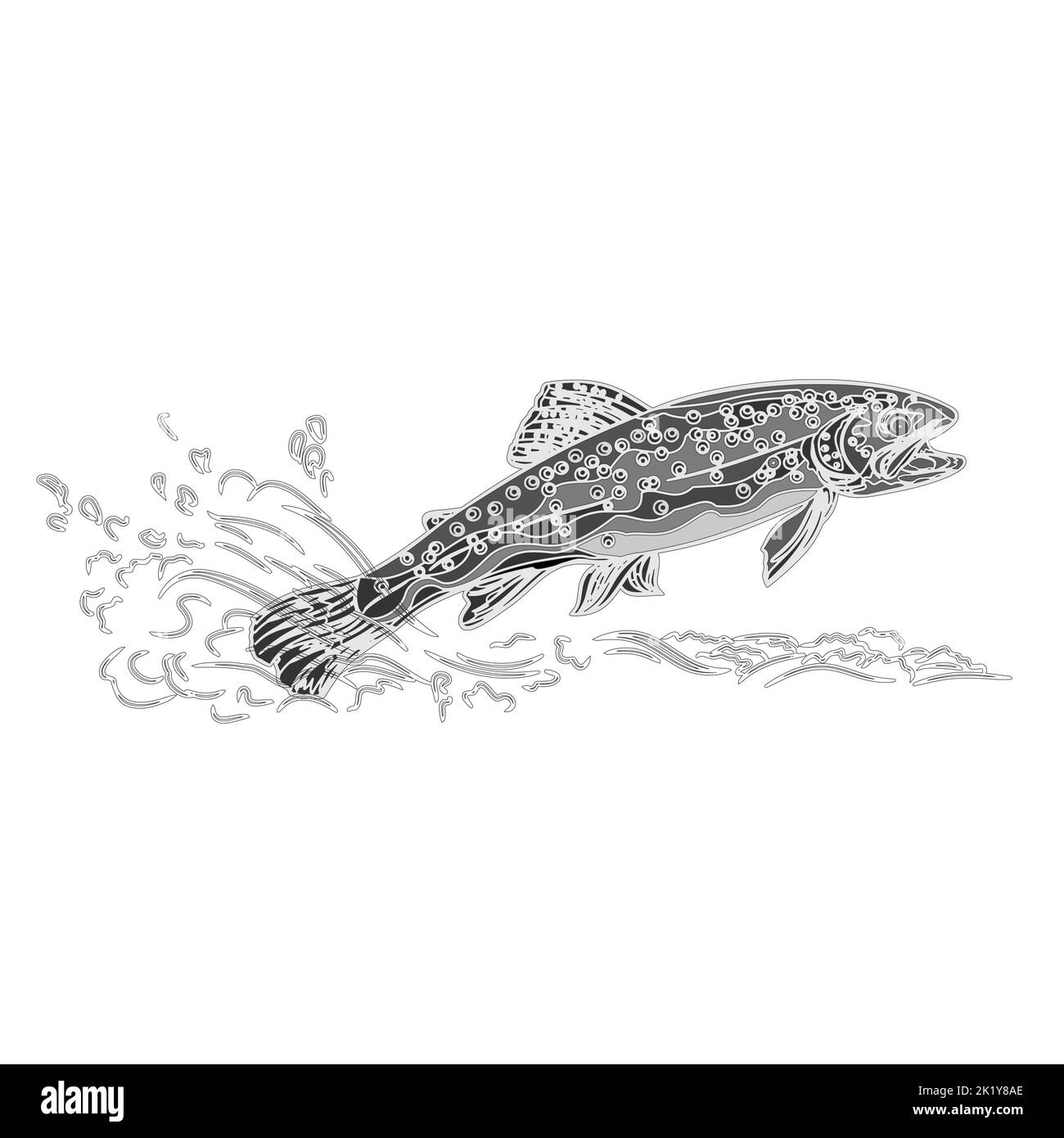 Brown trout salmonidae as vintage engraved black vector illustration Stock Vector