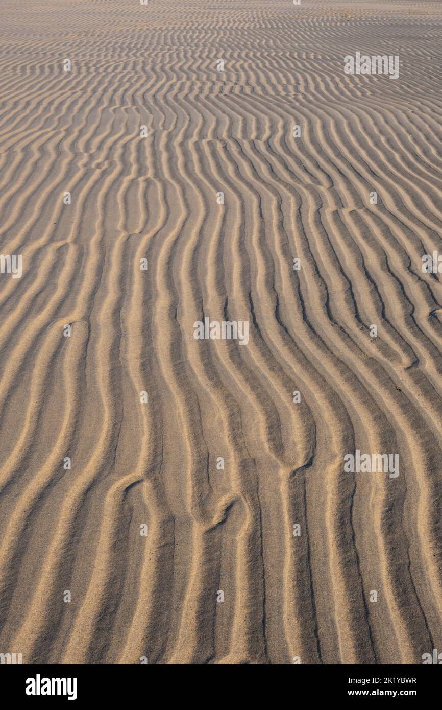 Textures in sand shaped hi-res stock photography and images - Alamy