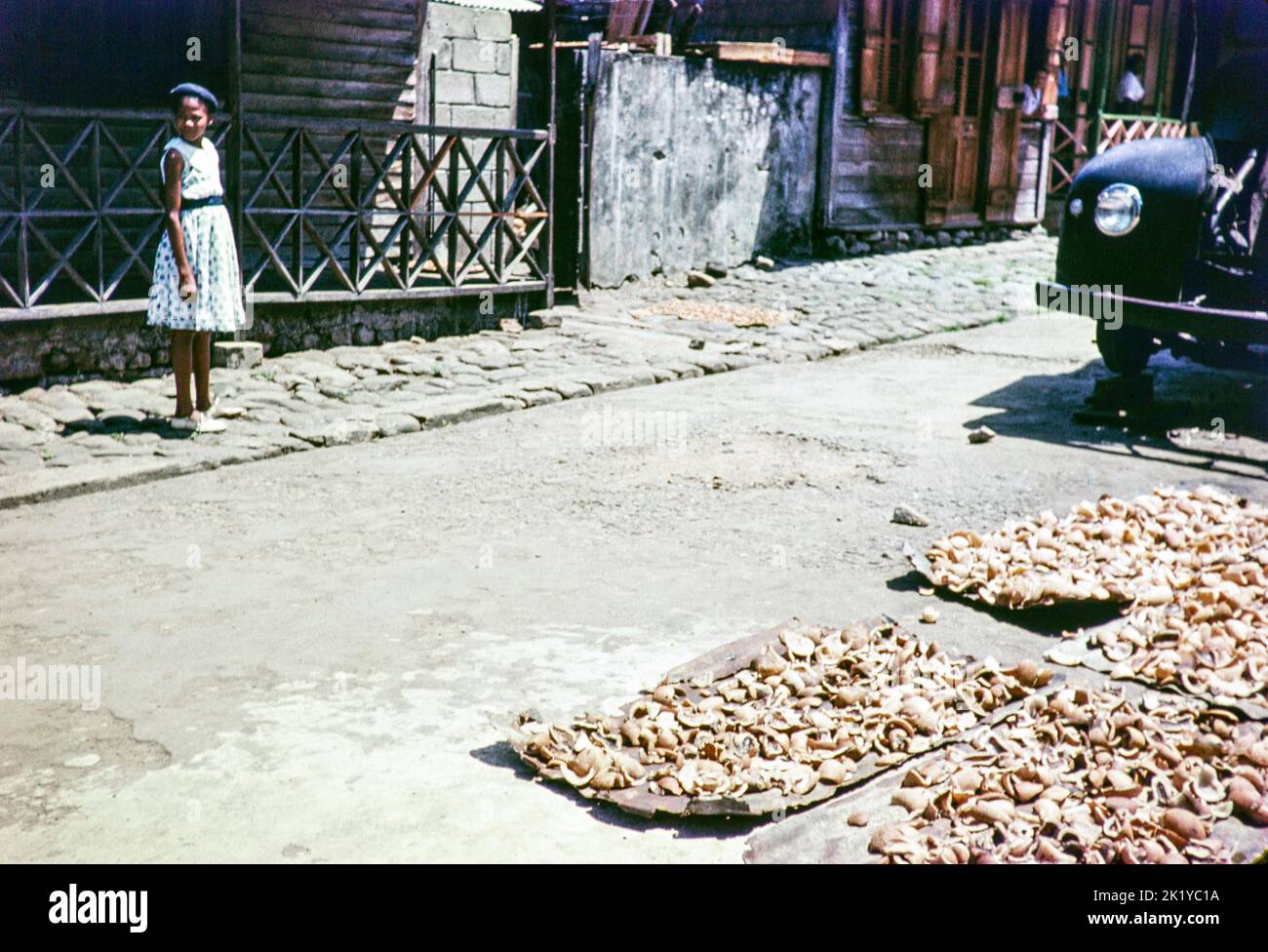 Drying copra outside houses, Soufriere, St Lucia, Windward Islands, West Indies, 1962 Stock Photo