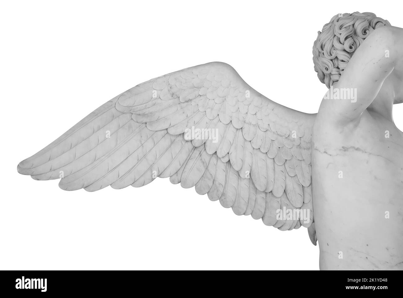Ancient statue. Wing of angel. Statue detail isolated on white