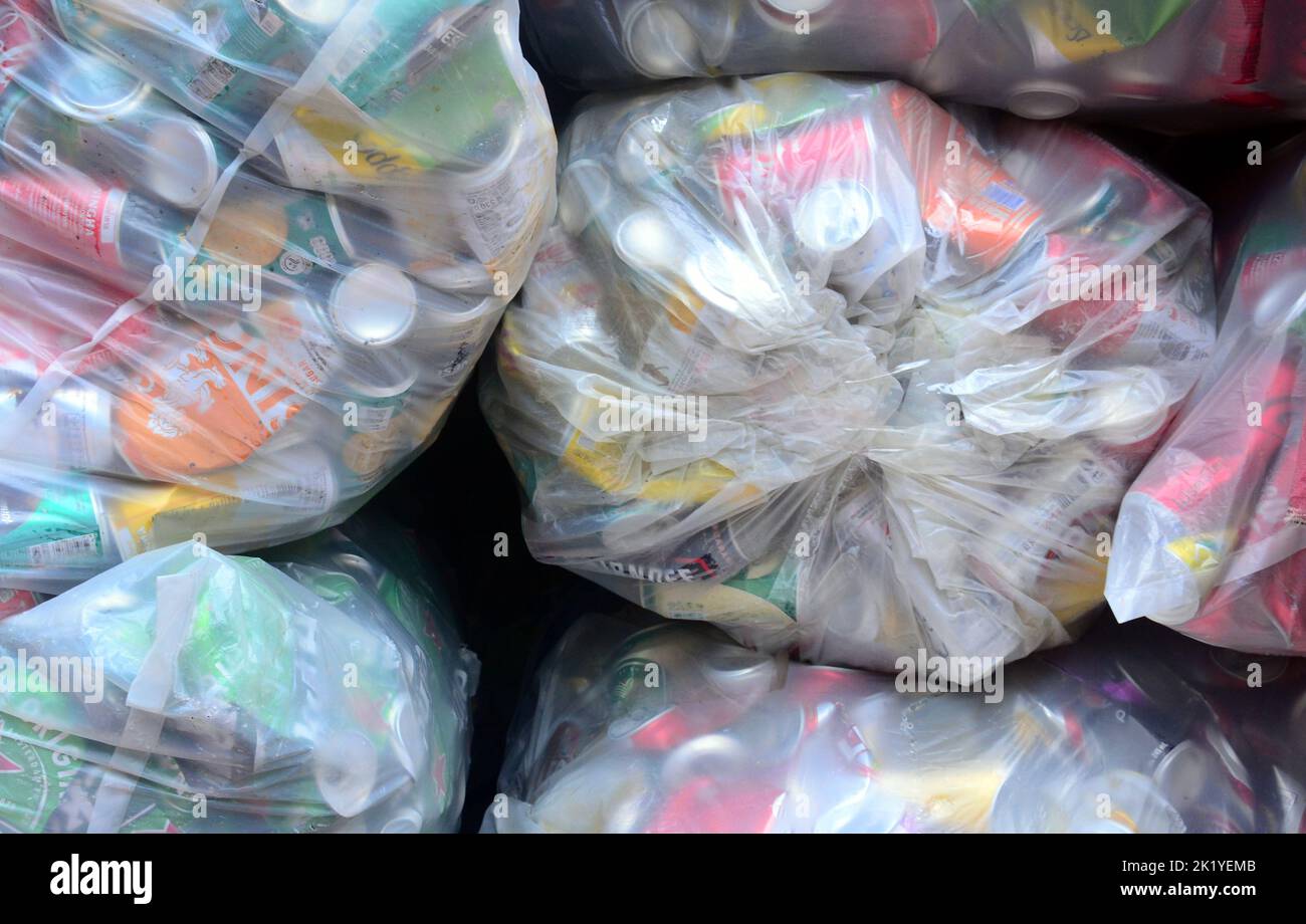 Plastic bags of used aluminium drinks or beverage cans wait to be