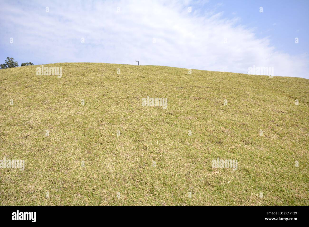 Grass background. Blue sky background with green trees and lamp post. Countryside. Brazilian winter. panoramic. wide angle. Stock Photo