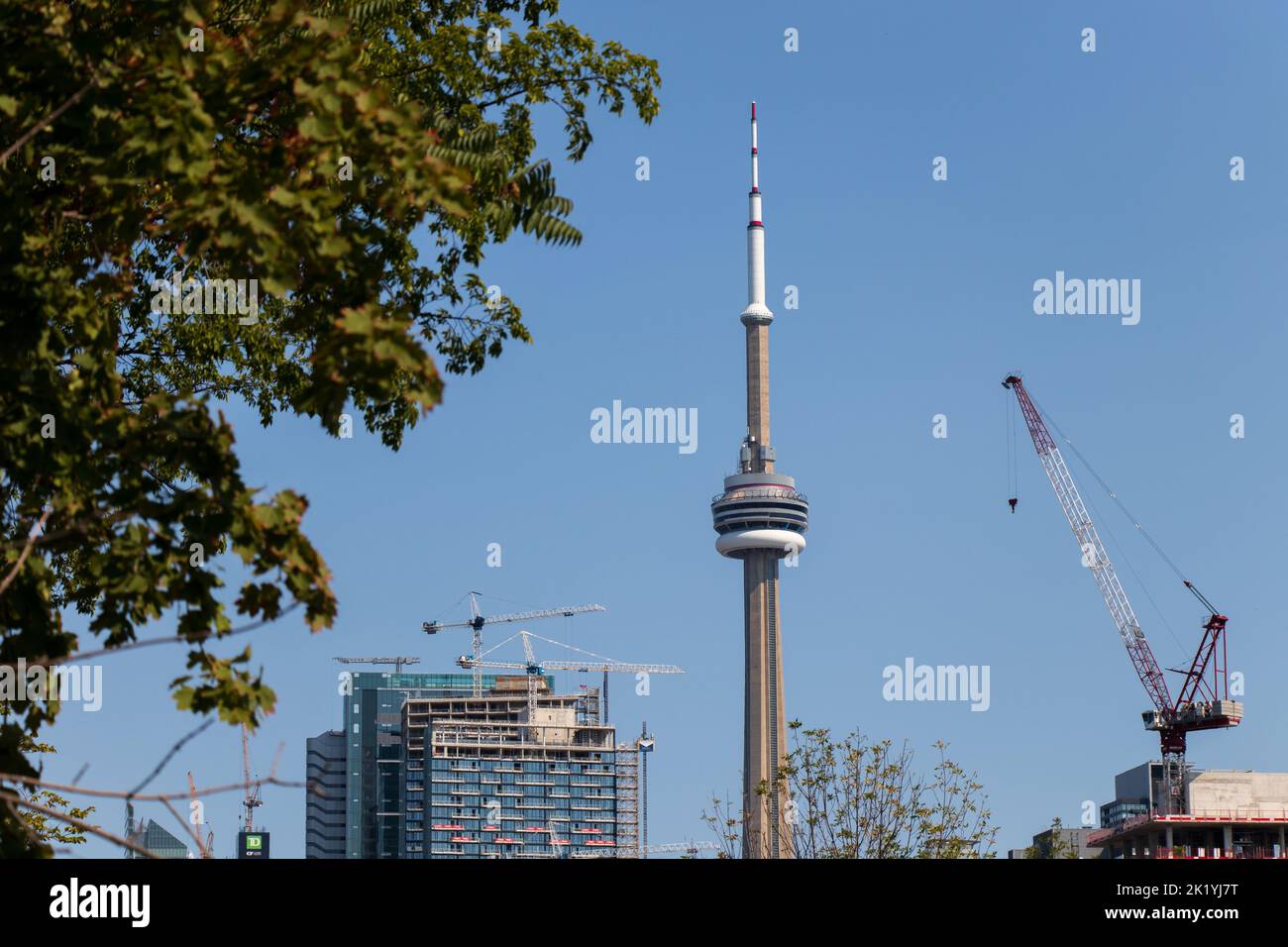 The CN Tower is seen on a clear day; under construction condos and cranes are seen around the famous landmark. Stock Photo