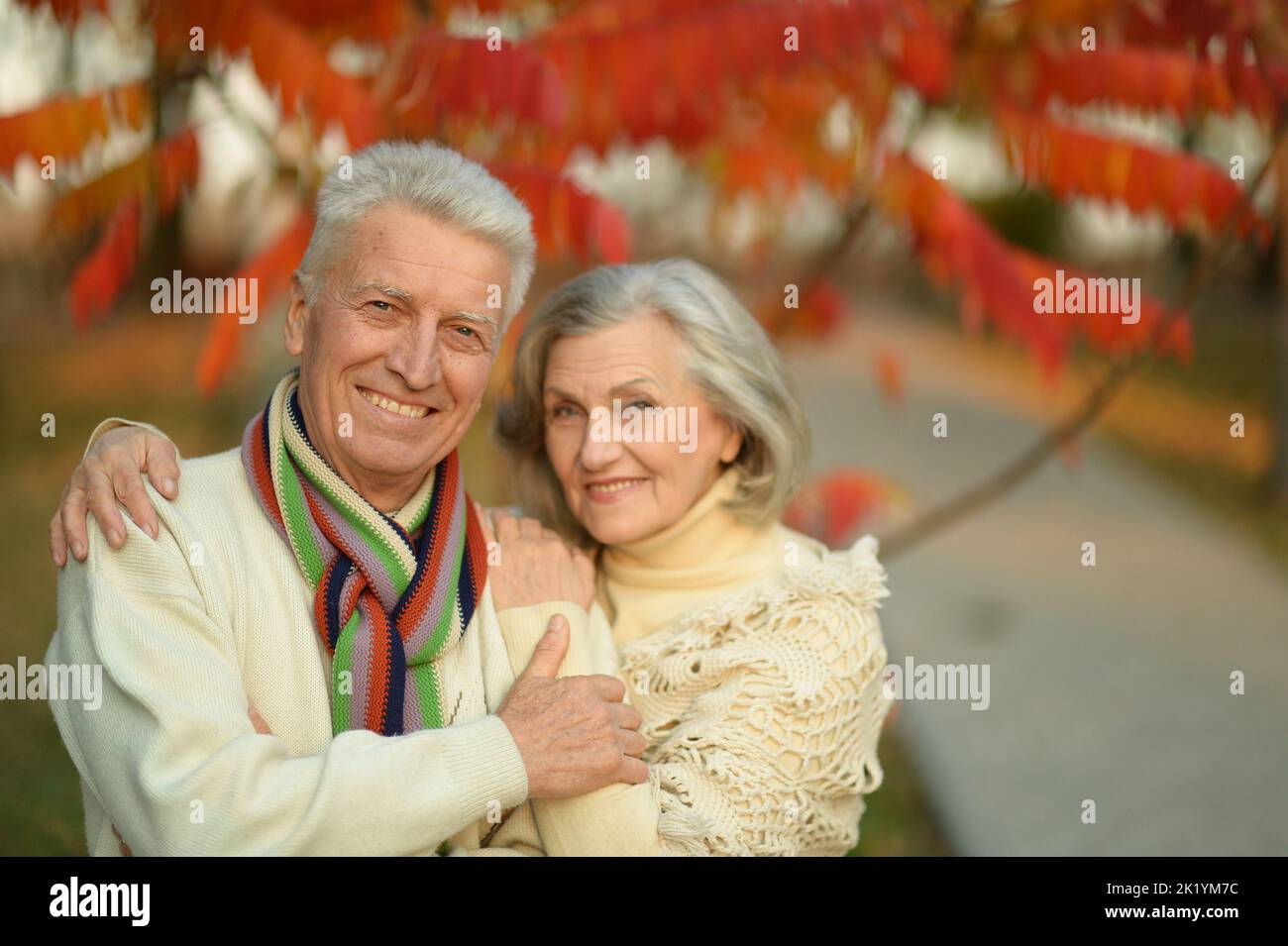 Nice elderly couple in a autumn park Stock Photo