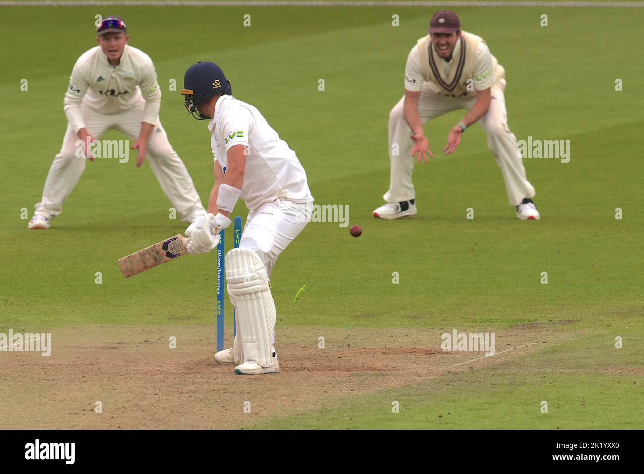 21 September, 2022. London, UK. Yorkshire’s Ben Coad bowled by Surrey’s Tom Lawes as Surrey take on Yorkshire in the County Championship at the Kia Oval, day two. David Rowe/Alamy Live News Stock Photo
