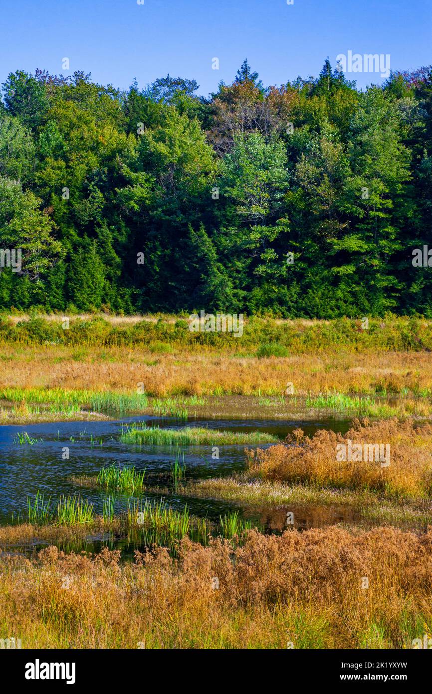 Upper Klondike Pond, along with its sister Lower Klondike Pond, on the