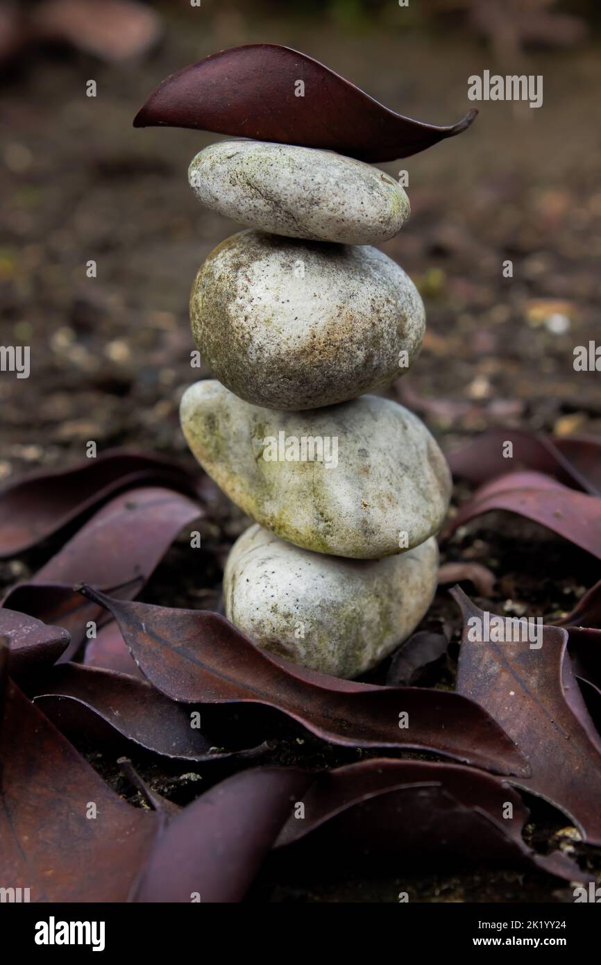 a unique concept of stacked white stones surrounded by dry leaves Stock Photo