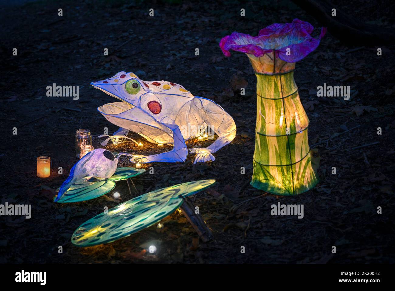 Frog and mushroom lantern Renfrew Ravine Moon Festival, Renfrew Park, Vancouver, British Columbia, Canada Stock Photo
