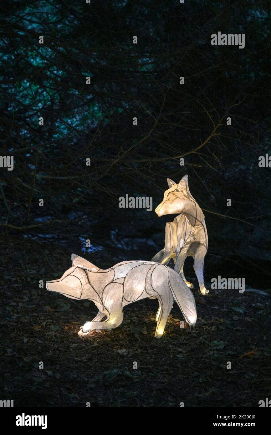 Illuminated paper wolves, Renfrew Ravine Moon Festival, Renfrew Park, Vancouver, British Columbia, Canada Stock Photo