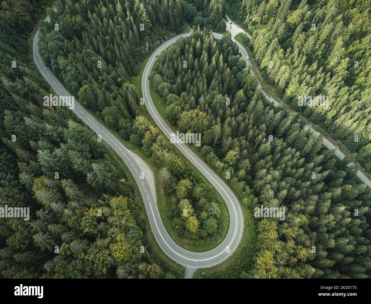 Forest from Above Stock Photo - Alamy