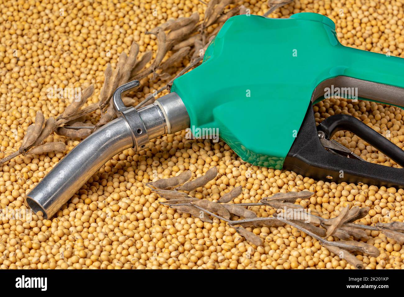 Diesel fuel nozzle and soybeans. Biodiesel, biofuel, agriculture and renewable clean energy concept. Stock Photo