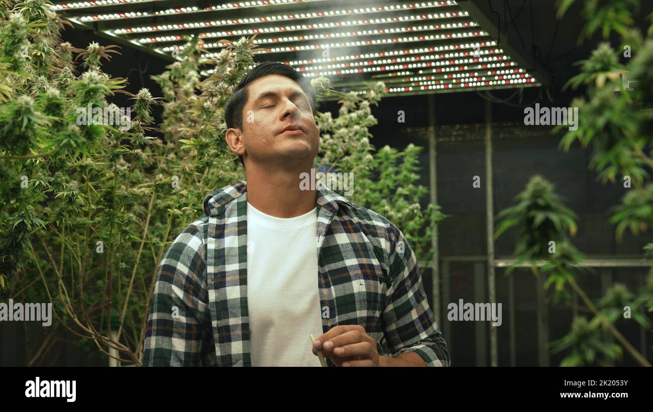 Marijuana farmer smoking rolled marijuana weed joint in curative