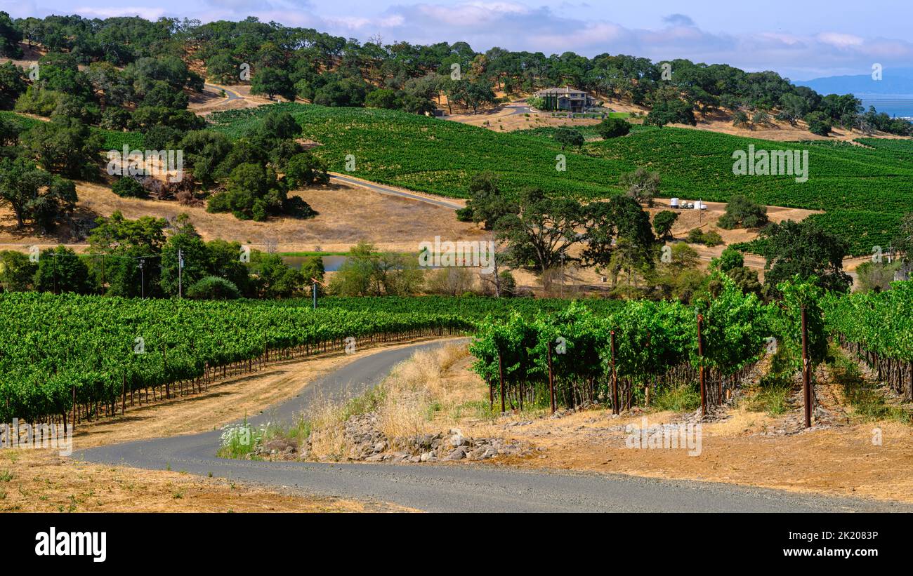 Napa Valley, California. House on a vineyard with beautiful surroundings Stock Photo