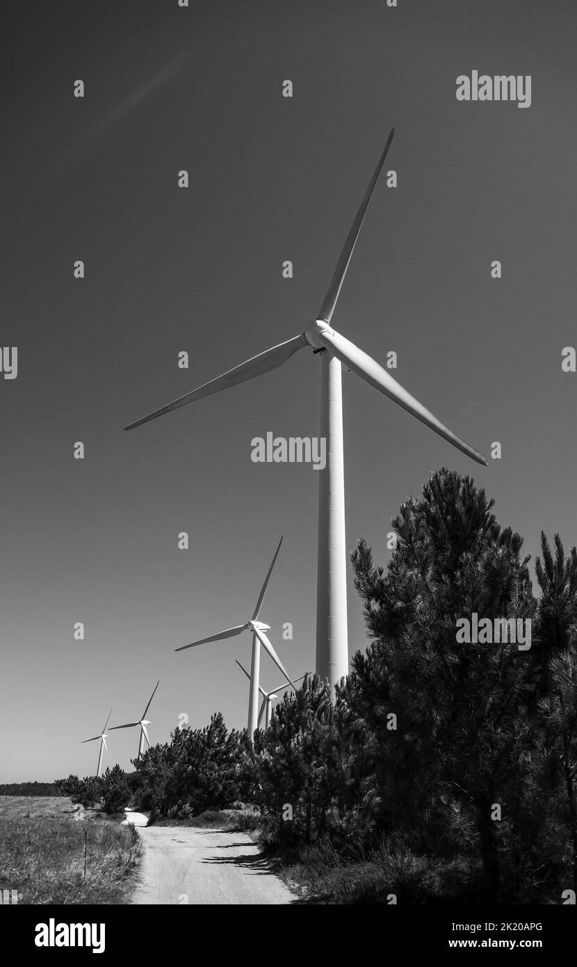 A windfarm in the Algarve Stock Photo Alamy