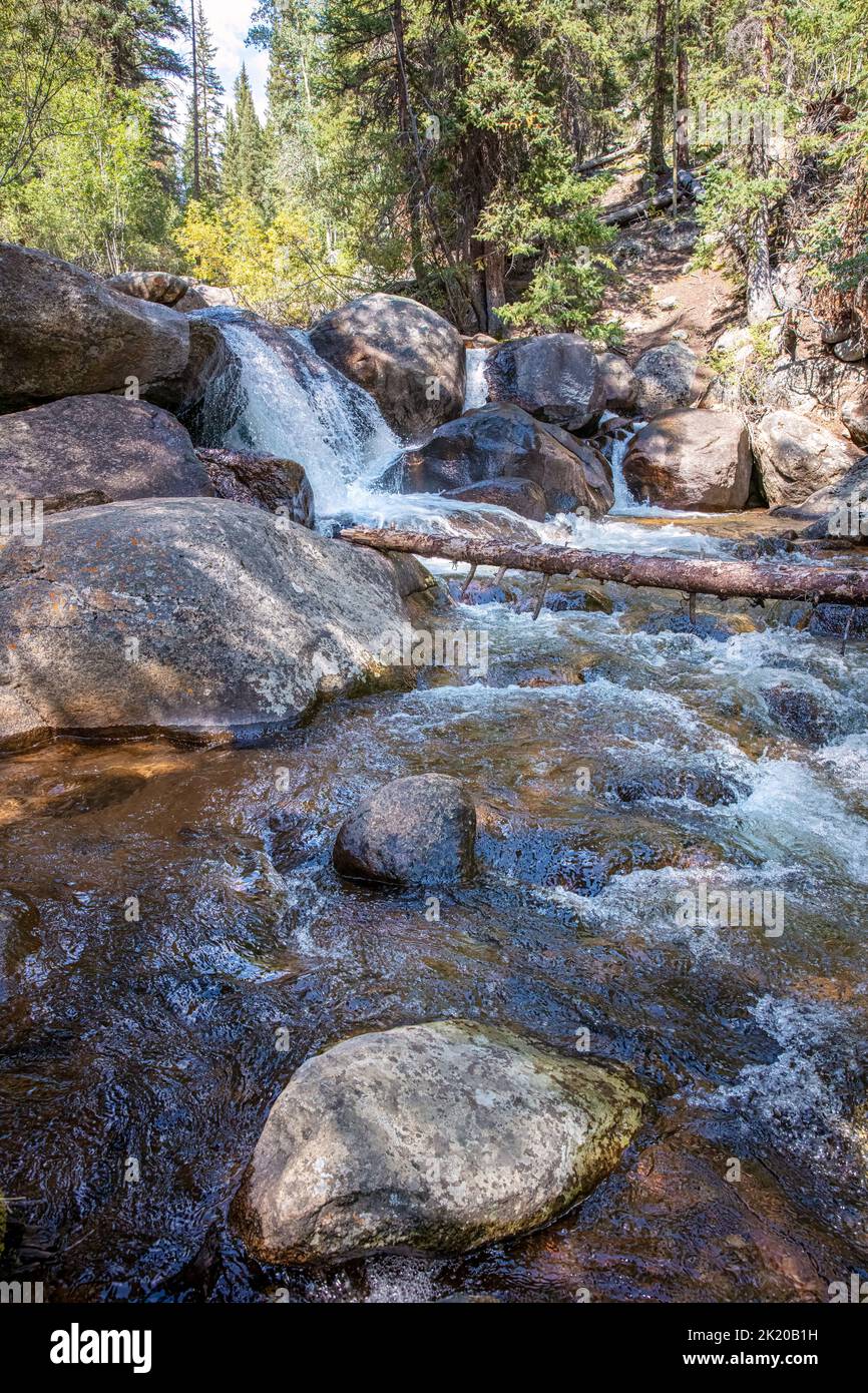 Mountain creek off Guanella Pass Road, Pike National Forest, Colorado, USA Stock Photo