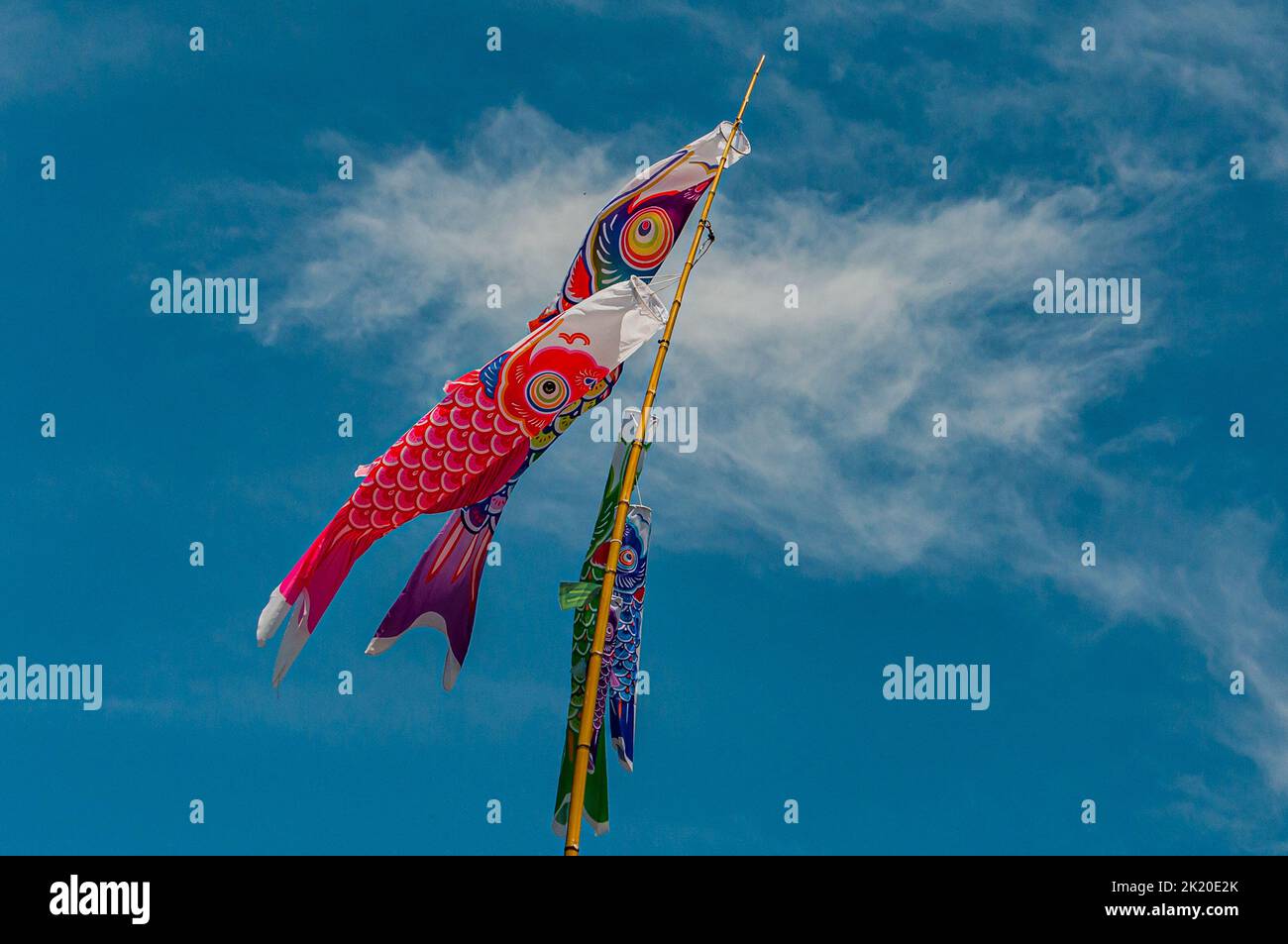 Chinese Fish Kite