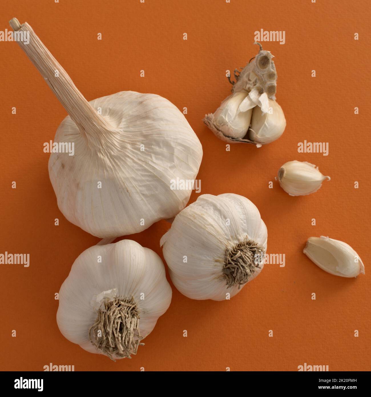 garlic bulbs and cloves on dark orange background Stock Photo Alamy