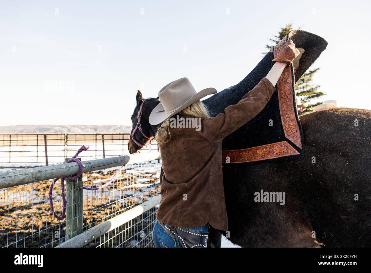 Female Rancher Saddling Horse In Winter Paddock Stock Photo Alamy Female rancher saddling horse in winter paddock stock photo alamy
