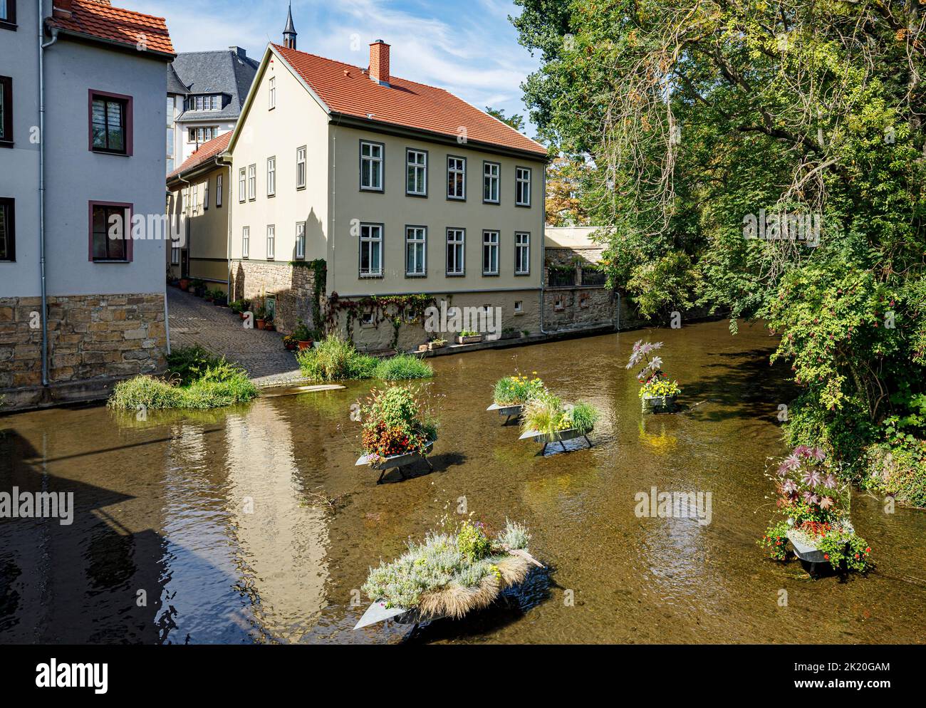 Tree Boxes In The Course Of The River Gera In The Old Town Of Erfurt, Thuringia, Germany, Europe Stock Photo