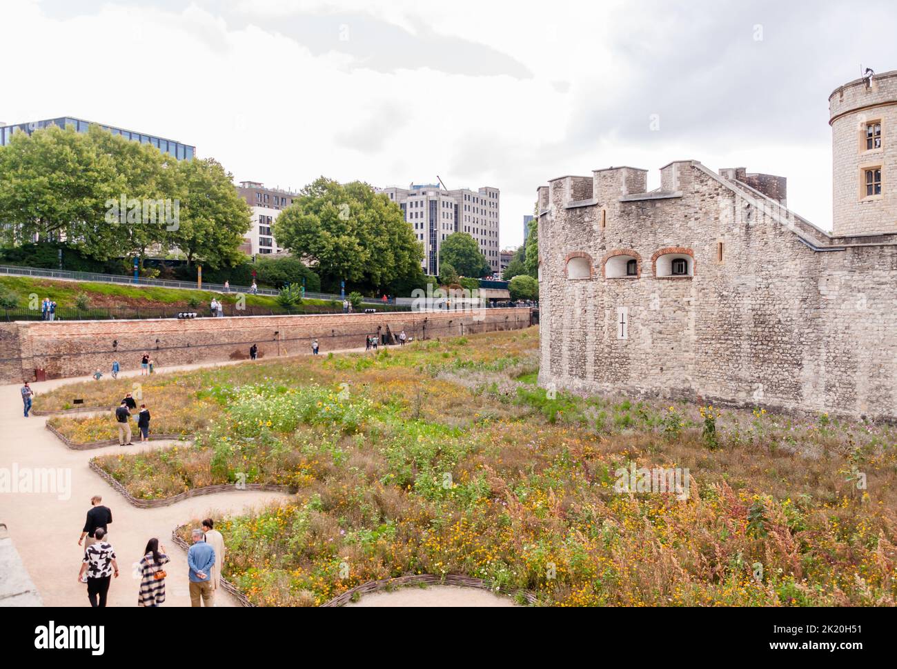 The Tower of London ‘Superbloom’ marks the Queen’s Platinum Jubilee with a plantation of 20 million seeds filling the moat Stock Photo