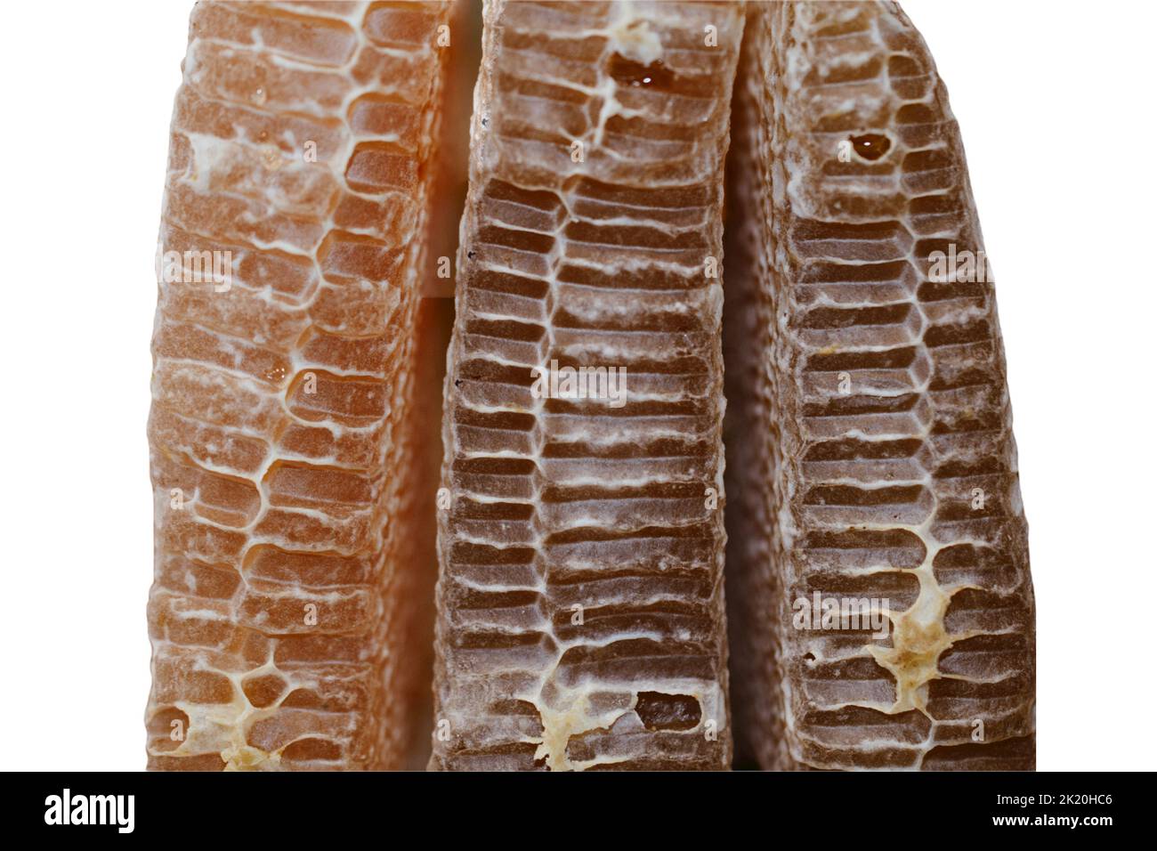 Honeycomb silhouette hi-res stock photography and images - Alamy