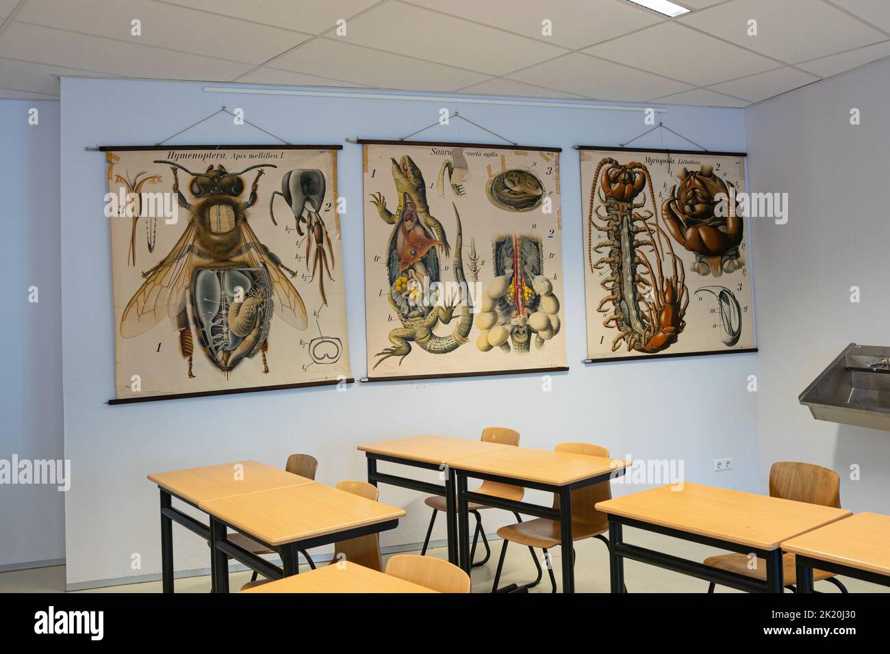 Biology classroom of a Dutch high school. On the wall are several posters with enlargements of animals. Stock Photo