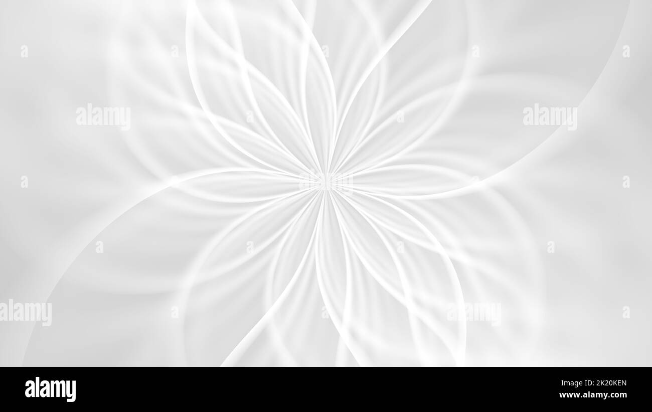 White abstract geometric flower wallpaper background. Elegant minimal